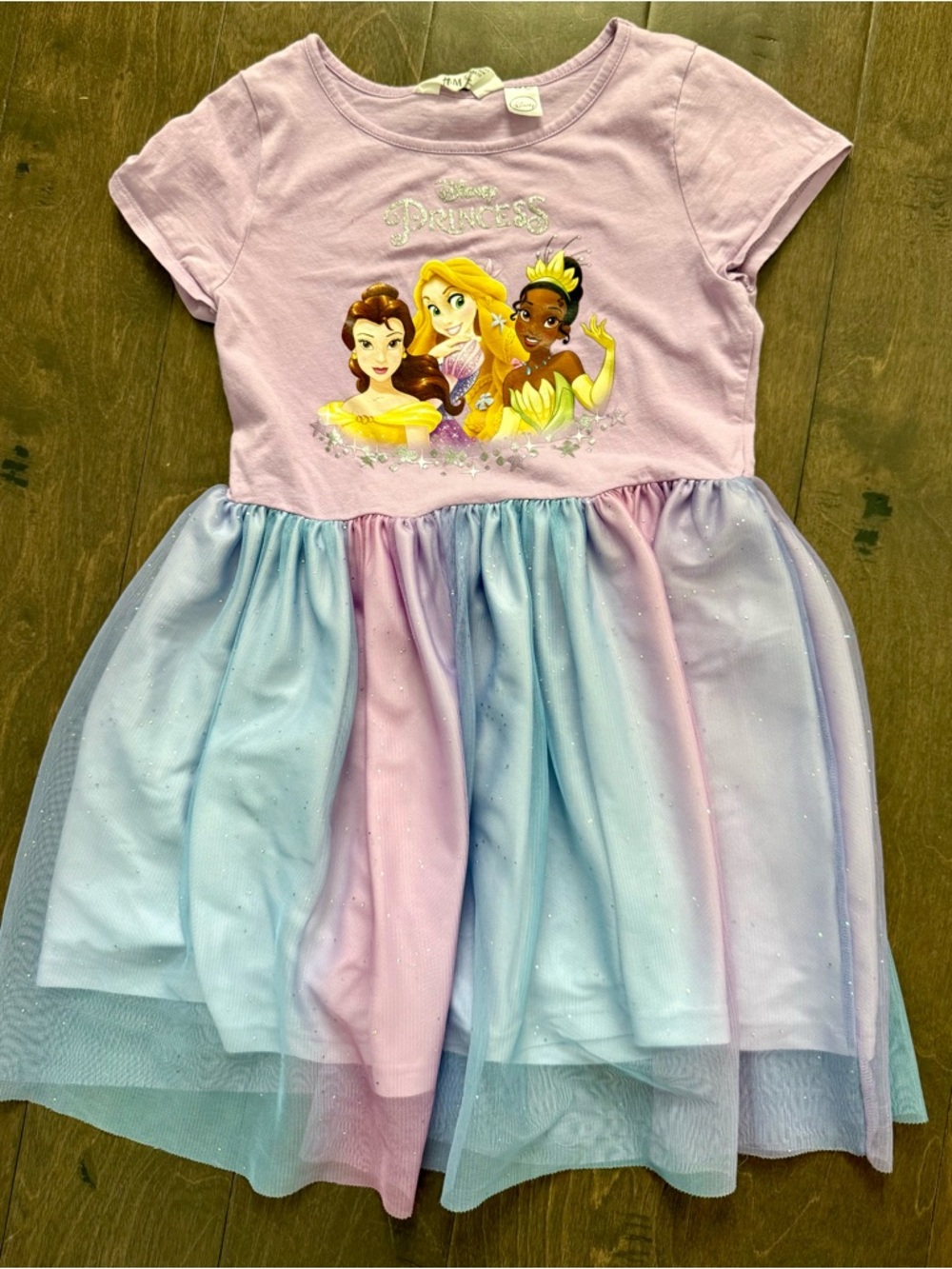 Disney/H&M Princess Lavender & Pastel Tulle Dress (6x-7)